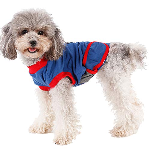 Hunde-Regenerationsanzug Nach Operationen, Bodysuit Für Welpen Hunde Katzen,Männliche Hündin Bauch Wunden Bandagen Cone E-Collar Alternative,