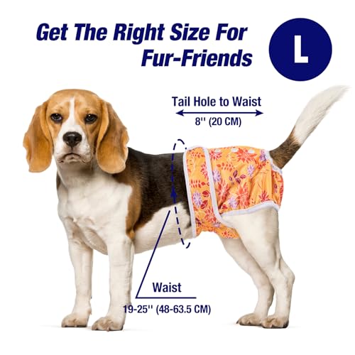 Pet Soft Dog Nappies Female - Washable Female Period Pants for Dogs Pets, Incontinence Reusable Dog Diapers 3Pack - Image 6