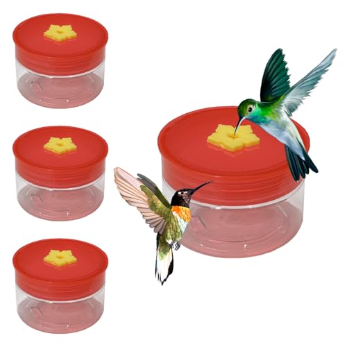 hummingbird feeders