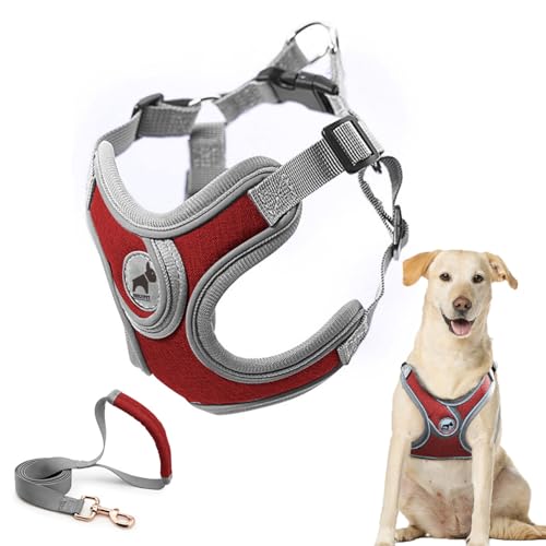 Dog Harness with Leash Set, Adjustable Step in Collars Harness with Breathable Padded Vest for Small Medium Large Dogs Training and Running(L, Red) by SAEGYPET - Used condition - US$16.95
