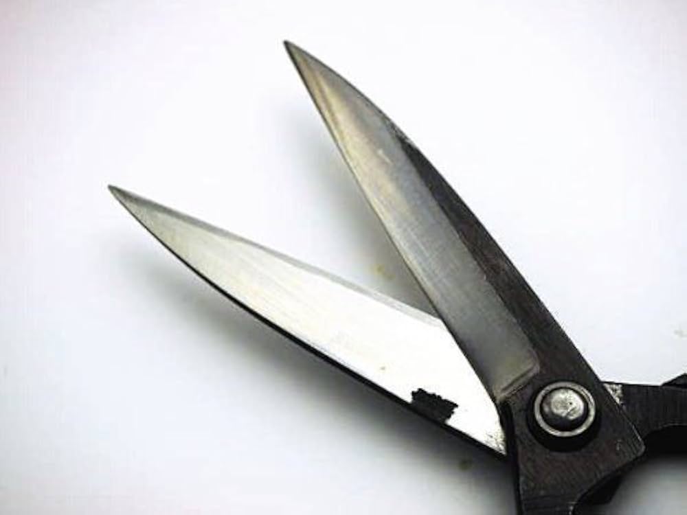 Amazon | 左利き用 植木鋏 はさみ ハサミ 「佐保」白紙 鋼 3寸5