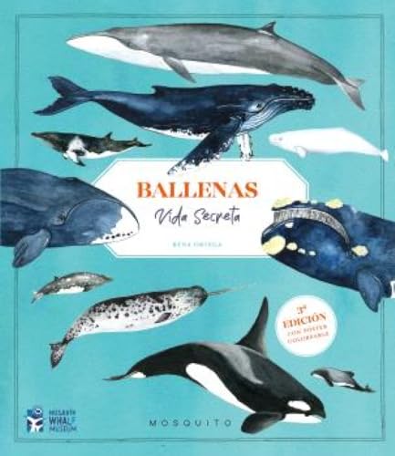 Ballenas. Vida secreta (3ª edición con póster coloreable)