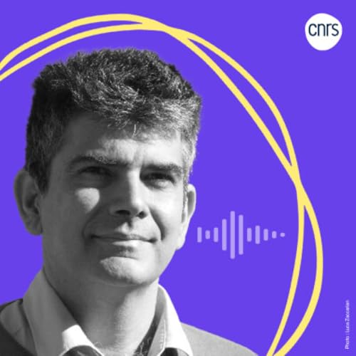 Page de couverture de Qu'est-ce que tu cherches ? | #PodcastCNRS Mathématiques en mouvement | Luca Zaccarian (CNRS)
