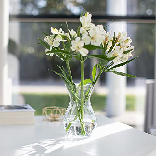 Poppy Bloemenvaas, glazen vaas voor bloemen, glazen bloemenvaas, tafelvaas, decoratieve vaas, helder glazen vaas, decoratieve vaas van glas, woonkamer decoratie, decoratieve vaas, H 18 cm, - Afbeelding 6