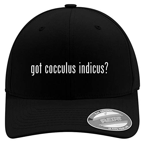 got cocculus Indicus? - Men's Soft & Comfortable Flexfit Baseball Hat, Black, Large/X-Large