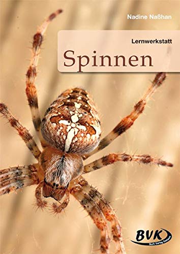 Preisvergleich Produktbild Lernwerkstatt Spinnen