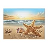 Photo Gallery amrewqyl coperta morbida in micropile con stampa stella marina spiaggia Photo Gallery amrewqyl coperta morbida in micropile con stampa stella marina spiaggia