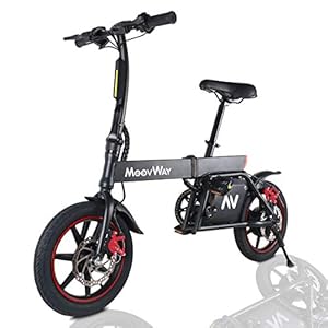 Windgoo Elektrische fiets, inklapbaar, 14 inch, voor volwassenen, inklapbaar, motor 350 W, snelheid tot 25 km/u, bereik…