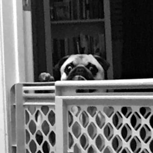 A sip with Sam copertina