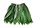 LITTLE FEATHER Hawaiian Ti Leaf Hula Green Skirt Luau Party Accessory (Kids)
