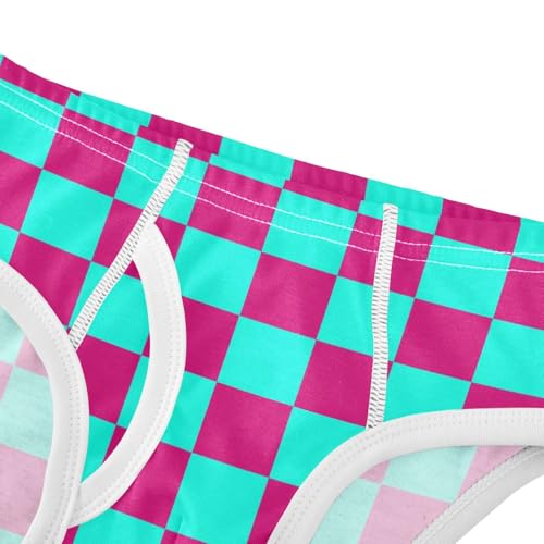Teal and Pink Buffalo Checkered Toddler Boy's Underwear 2T4