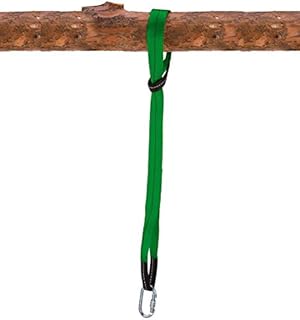 HearthSong Heavy Duty Weather Resistant Tree Carabiner Clip Swing Hanger, Green