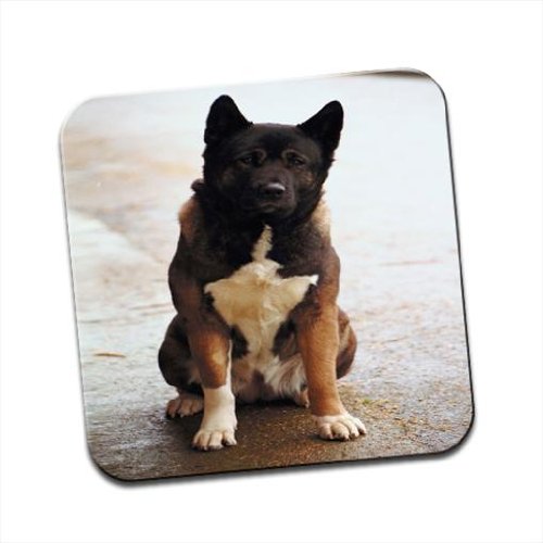 Akita Dog Sitting Single Premium Glossy Wooden Coaster