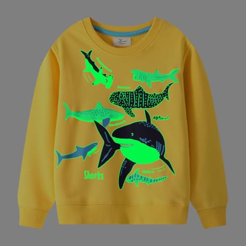 Boys Sweatshirts Long Sleeve Sweatshirts T-shirts Crew Neck Cotton Casual Sweatshirts Cartoon Tops for Boys-1902