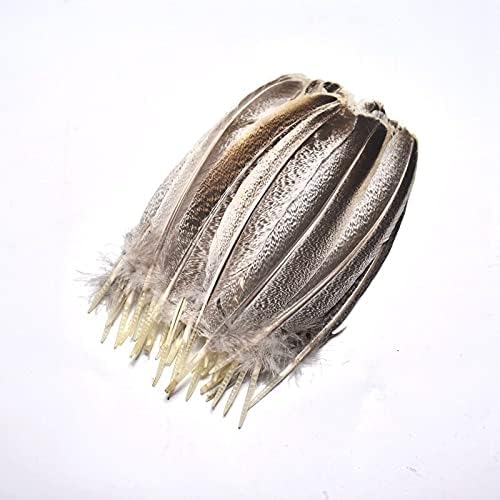 Eagle Feathers for Crafts Natural 22-27cm DIY Jewelry Decoration Collection Headdress Feather Jewelry Plumes - 50 pcs - Zamihalaa