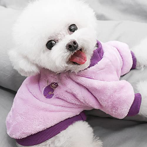 Abrigo para perros en paseos invernales: ropa cálida para disfrutar del parque 5