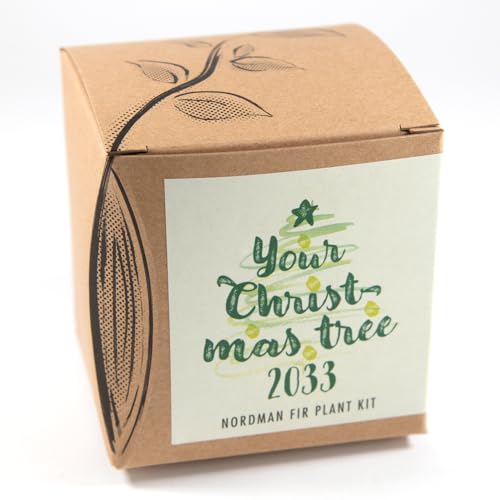 Geschenk-Anzuchtset YOUR CHRISTMAS TREE 2033, Nordmanntannen-Samen zum Anpflanzen des eigenen...