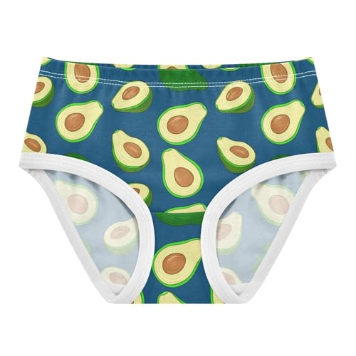 Fruit Avocado Blue Toddler Girls's Underwear 2T 2302219