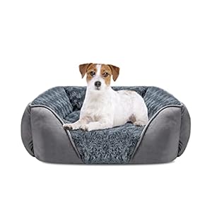 INVENHO Medium Dog Bed for Large Medium Small Dogs, Rectangle Washable Dog Bed, Orthopedic Dog Bed, Soft Calming Sleeping Puppy Bed Durable Pet Cuddler with Anti-Slip Bottom M(25″x21″x8″)