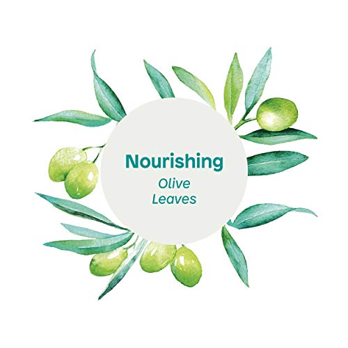 Attitude Nourishing Body Wash, For Dry & Sensitive Skin, Ewg Verified, Hypoallergenic, Vegan, Cruelty Free, Olive Leaves, 16 Fl Oz (11293) #TOP3