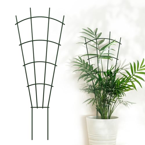DOLEMODUO 6-Pack Metal Trellis for Potted Plants, 43" Heavy Duty Garden Trellis for Climbing Plants, Rustproof Powder Coated Indoor/Outdoor Trellis for Climbing Vines, Flowers, Houseplants by DOLEMODUO - Used condition - US$46.54