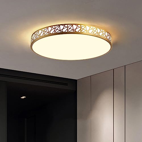 Lámpara de techo moderna con decoración premium Dere de 19.7 pulgadas 3