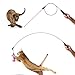 Enjoying Cat Toys Interactive - 2 in 1 Feather and Light Cat Wand Toy for Interactive Cat Toy Chaser and Teaser 37” Length