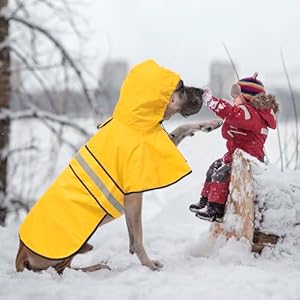 Reflectivedograincoatswaterproofadjustablepetraincoatjacketlightweightdogapparelaccessoriesraincoatforsmalltoxlargedogsyellowlarge Urban Country Home Decor Reflective dog rain coats waterproof adjustable pet raincoat jacket lightweight dog apparel accessories raincoat for small to x large dogsyellow large urban country home decor
