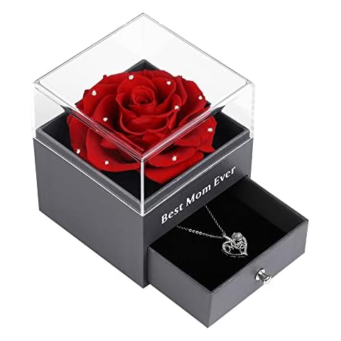 Preserved Real Rose with Mom Silver-Tone Necklace Love You in 100 Languages Gifts for Mom Women Her Wife Girlfriend Birthday/Valentines Day/Christmas, Rose Cover