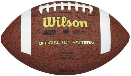 Wilson NCAA Composite Football
