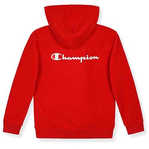 Image of Champion boys Graphic Hoodie Pullover Sweatshirt for Kids With Stylish Embellishments