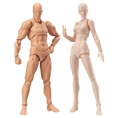 Drawing Figures for Artists Action Figure Model Human Mannequin Man and Woman Set,with Accessories Kit for Sketching, Painting, Drawing, Artist (2 Pcs/Set Action Figure Model with Accessories Kit)