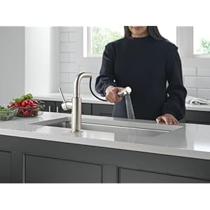 Delta Faucet Daneri Pull-Out Kitchen Faucet, Brushed Nickel Kitchen Faucets with Pull-Out Sprayer, Kitchen Sink Faucet, Faucet for Kitchen Sink with Magnetic Docking, Stainless 16879-SS-DST Delta Faucet Daneri Pull Out Kitchen Faucet Brushed Nickel Kitchen Faucets with Pull Out Sprayer Kitchen Sink Faucet Faucet for Kitchen Sink with Magnetic Docking Stainless 16879 SS DST