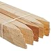 Kitzmans - Dixon LLC 36'' Grade and Survey Stakes