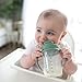 Dr. Brown's Milestones Baby's First Straw Cup, Training Cup with Weighted Straw, 9 oz/270 mL, BPA-free, 6m+, Olive Green, 1-Pack