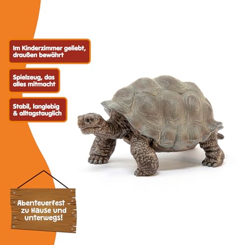 SCHLEICH WILD Life | Riesenschildkröte 14824 | detailgetreue Tierfiguren | Zoo Spielzeug | tolles Geschenk für Jungen und Mädchen | Deko für Geburtstag | Spielfigur ab 3 Jahren | 8 x 4 x 4 cm