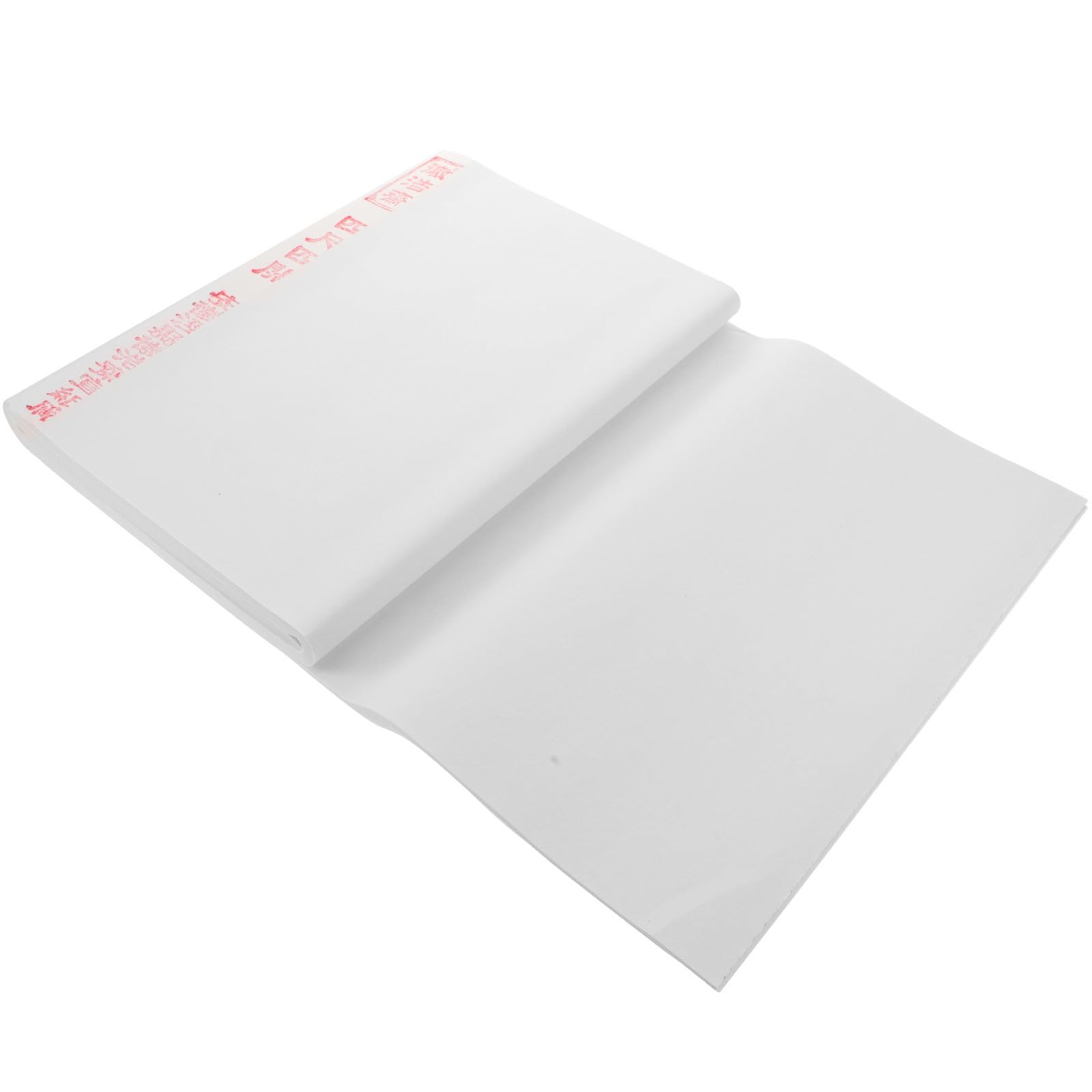 Papier de riz multi-usage pour écriture et dessin traditionnel HORIALENCE - 8
