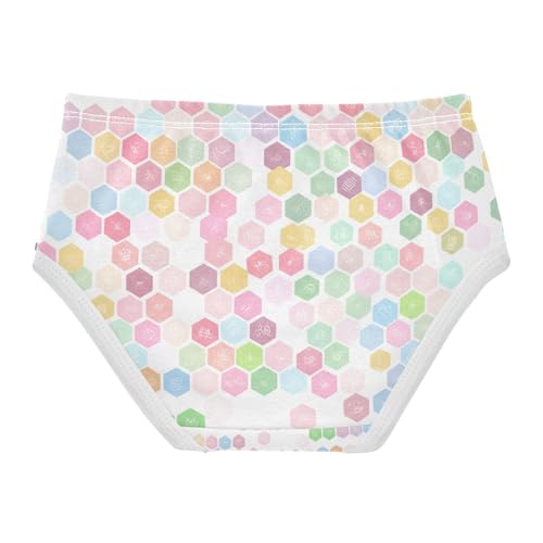 Hexagons Shades Pink Toddler Girls's Underwear 2T 202c16232
