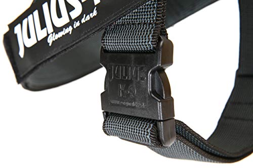 Julius-K9, IDC® Color & Gray® Beltgeschirr