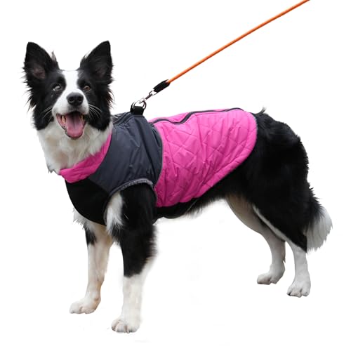 Abrigo para perro mediano JoyDaog talla XL