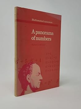 Paperback A Panorama of Numbers Book