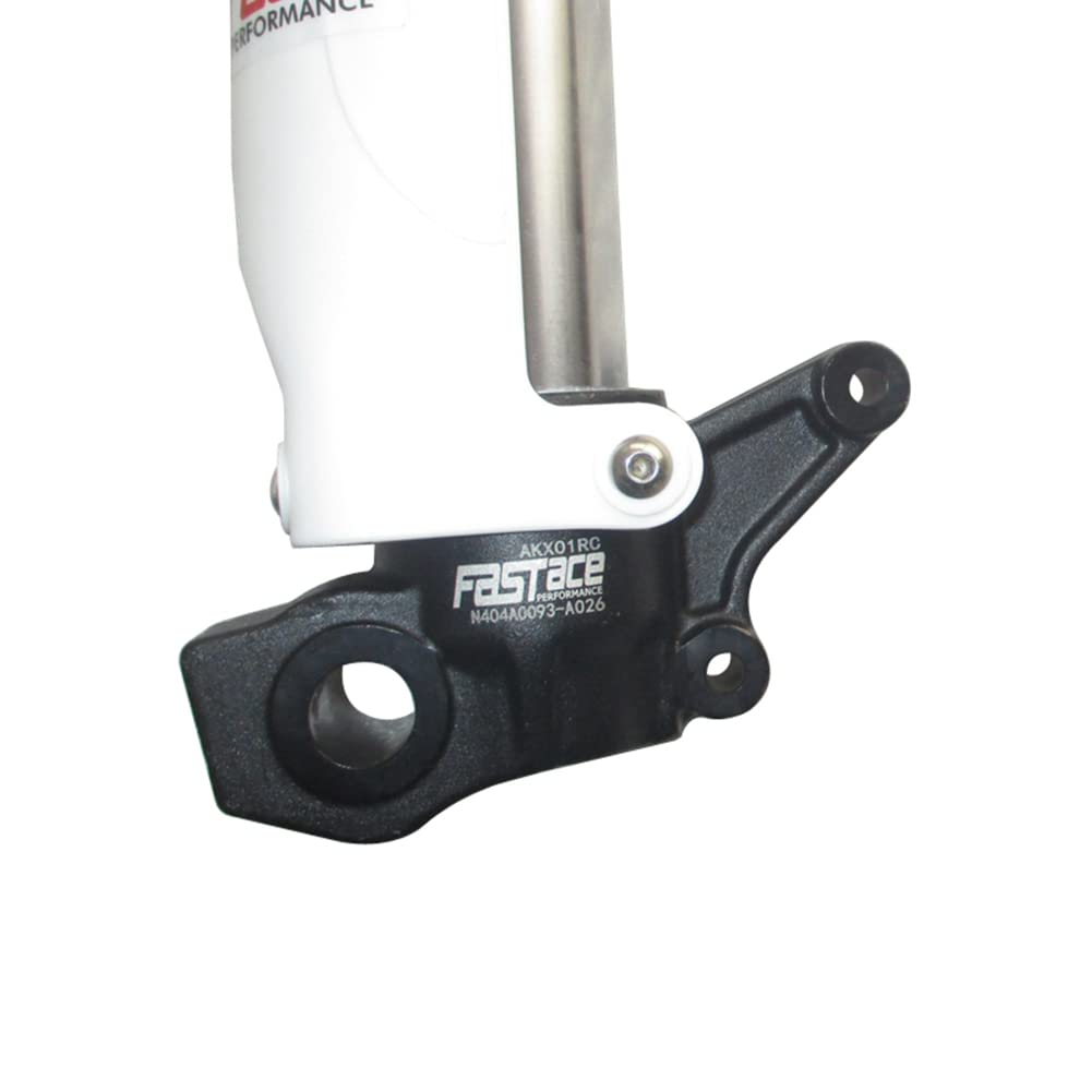 α Terror Orange Terror Bass Amplifier Head (500 Watts) | zZounds