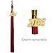 GraduationMall Unisex Adult Matte Graduation Cap with 2026 Tassel Red
