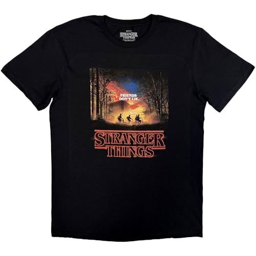 T-shirt Stranger Things Friends Don't Lie en coton col rond pour fan