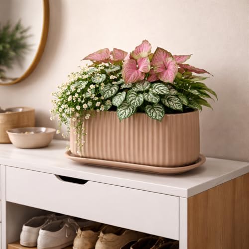 Image of Xtore Ceramic Ribbed Planter with Tray | Matte Finish | for Home & Office Decor - (Pack of 1, Pastel Brown, Planter ONLY)