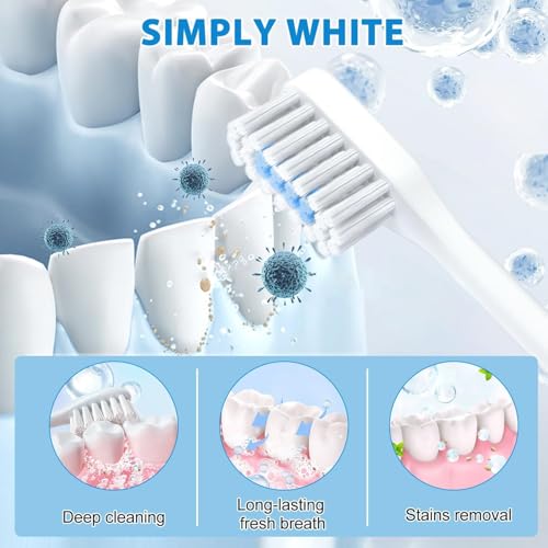 Zahnreparatur Mineralpuder,Zahnrestauration Pulver,Teeth Whitening Powder,Mineral Zahnpulver,Zahnpulver Gegen Verfärbungen,Effektiv bei der Stärkung von Zähnen und Zahnfleisch,Frischer Atem