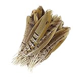 Photo Gallery raef 10 pezzi di piume di fagiano per l artigianato, creazione di gioielli, decorazioni per la casa di nozze, piume di coda di fagiano di pollo Photo Gallery raef 10 pezzi di piume di fagiano per l artigianato, creazione di gioielli, decorazioni per la casa di nozze, piume di coda di fagiano di pollo