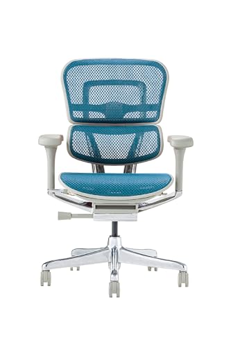 Ergohuman PRO2 EHP2-LAM-DR-GF