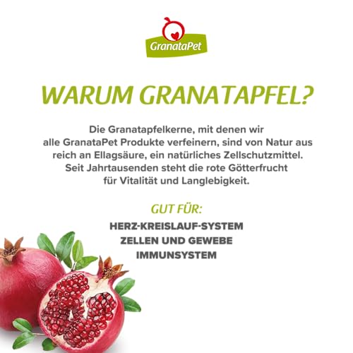 GranataPet Mini Royal Pferd Mono, Monoprotein-Trockenfutter für Hunde, Hundefutter ohne Getreide & ohne Zuckerzusatz, Alleinfuttermittel für ausgewachsene Hunde, 1 kg
