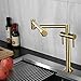 Pot Filler Faucet, Deck Mounted Folding Stretchable, Brass Double Handle Single Hole Joint Swing Arm Kitchen Sink Mixer Tap,Silver(Gold)